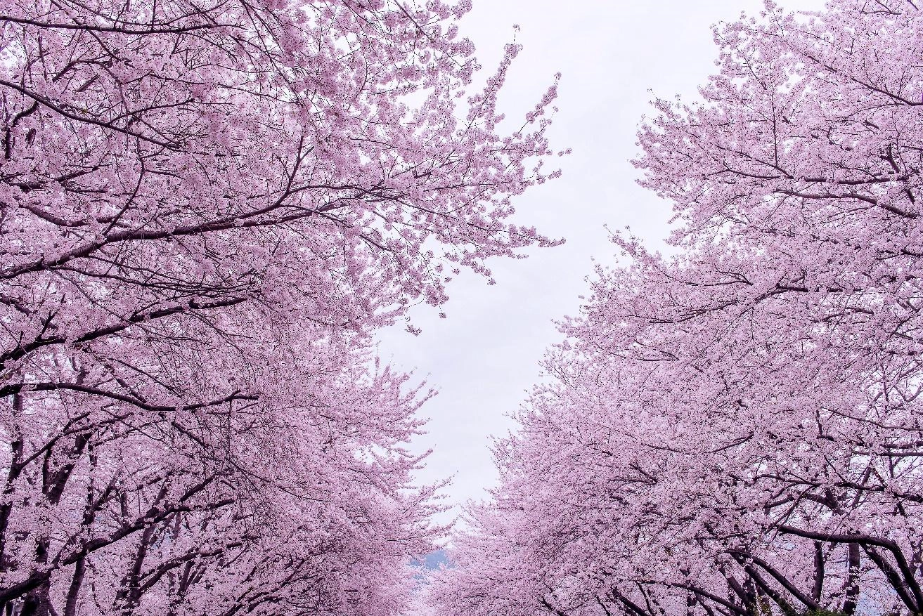 shutterstock_380428540