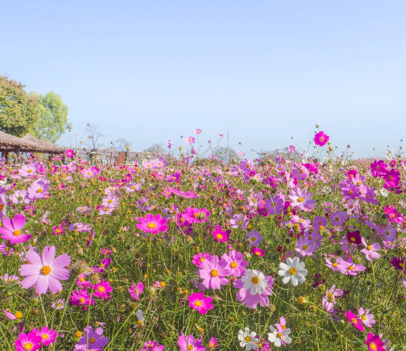 shutterstock_572138482